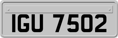 IGU7502