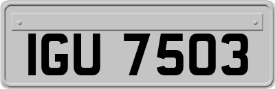IGU7503