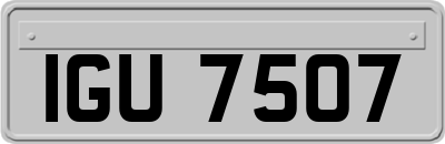 IGU7507