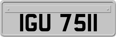 IGU7511