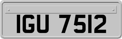 IGU7512