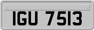 IGU7513