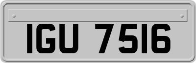 IGU7516