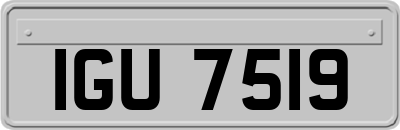 IGU7519