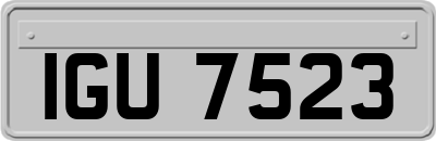 IGU7523