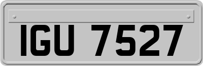 IGU7527