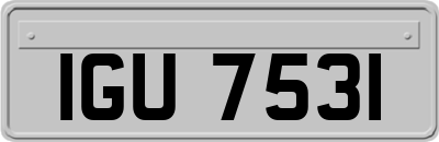 IGU7531