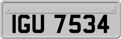 IGU7534