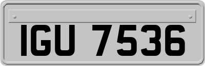 IGU7536
