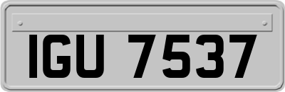 IGU7537