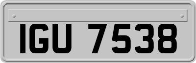 IGU7538