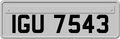 IGU7543
