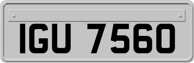 IGU7560