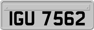IGU7562