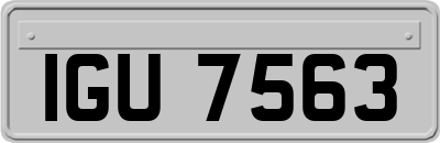 IGU7563