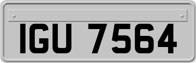IGU7564