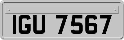 IGU7567
