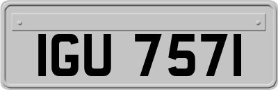IGU7571