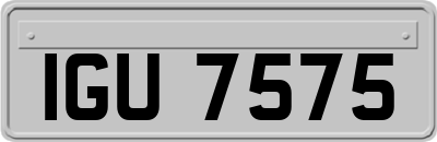 IGU7575
