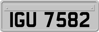 IGU7582