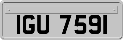 IGU7591
