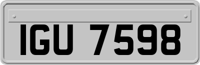 IGU7598