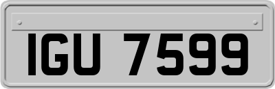 IGU7599