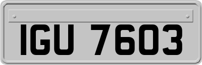 IGU7603