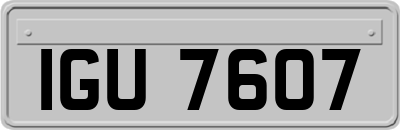 IGU7607
