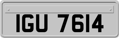 IGU7614