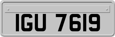 IGU7619