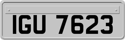 IGU7623