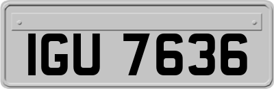 IGU7636