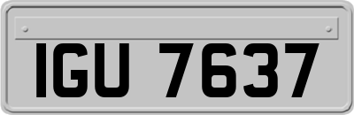 IGU7637