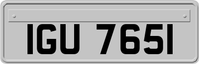 IGU7651