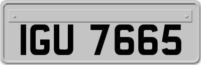 IGU7665
