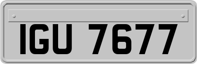 IGU7677