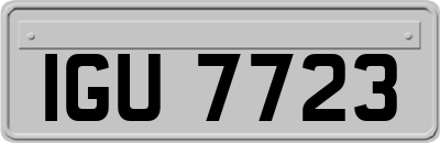 IGU7723