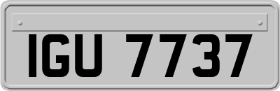 IGU7737