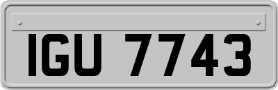 IGU7743
