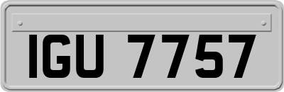 IGU7757
