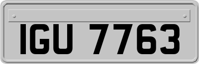 IGU7763