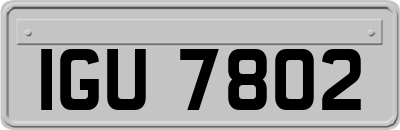 IGU7802