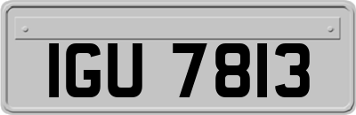 IGU7813