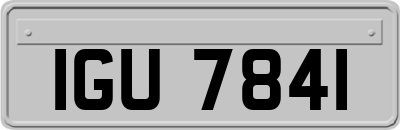 IGU7841