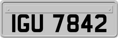 IGU7842