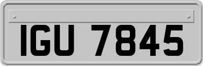 IGU7845