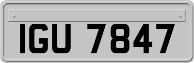 IGU7847