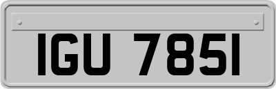 IGU7851