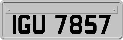 IGU7857